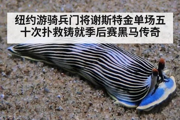 纽约游骑兵门将谢斯特金单场五十次扑救铸就季后赛黑马传奇