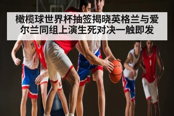 橄榄球世界杯抽签揭晓英格兰与爱尔兰同组上演生死对决一触即发