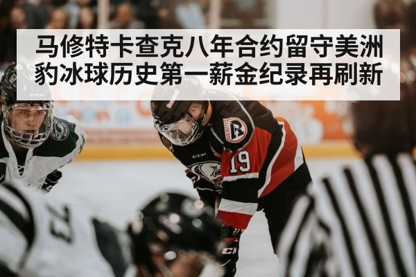 马修特卡查克八年合约留守美洲豹冰球历史第一薪金纪录再刷新